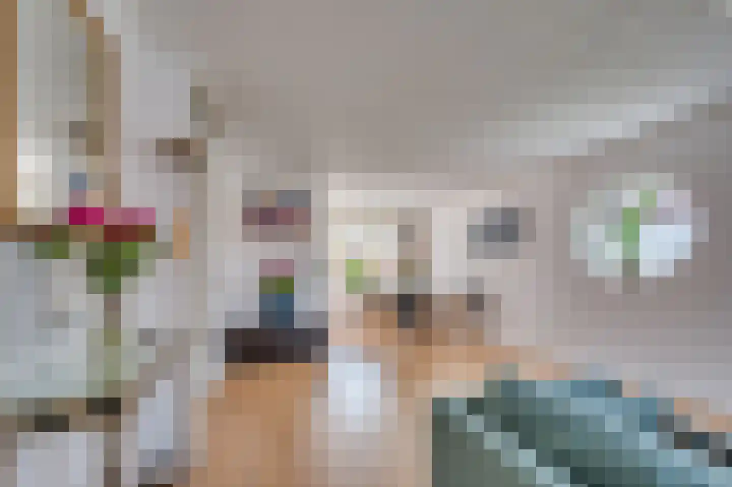 Sinselveldstraat 21 Venlo thumbnail 4