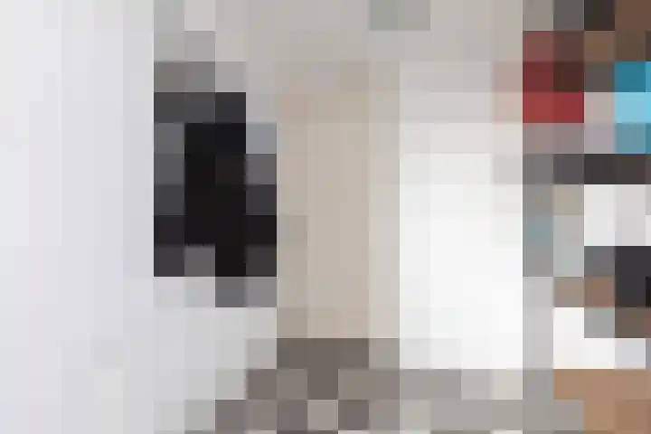 Sinsmar 24 Blauwhuis thumbnail 14