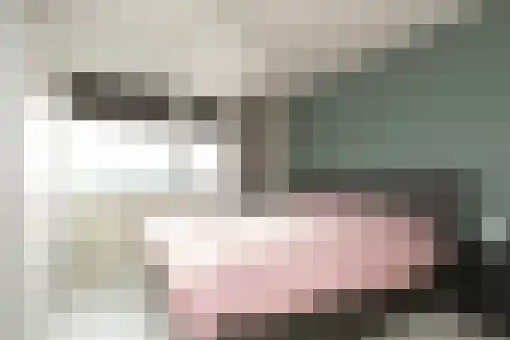 Sinsmar 24 Blauwhuis thumbnail 22