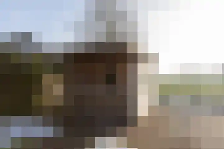 Sinsmar 24 Blauwhuis thumbnail 38