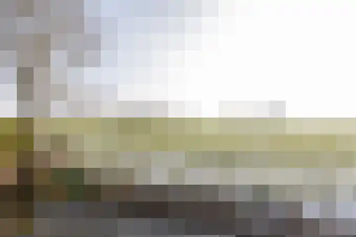 Sinsmar 24 Blauwhuis thumbnail 39
