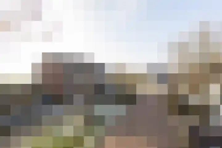 Sinsmar 24 Blauwhuis thumbnail 4