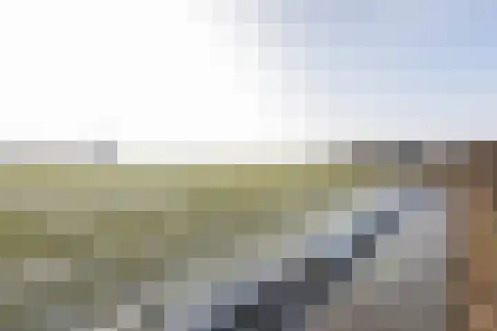 Sinsmar 24 Blauwhuis thumbnail 40
