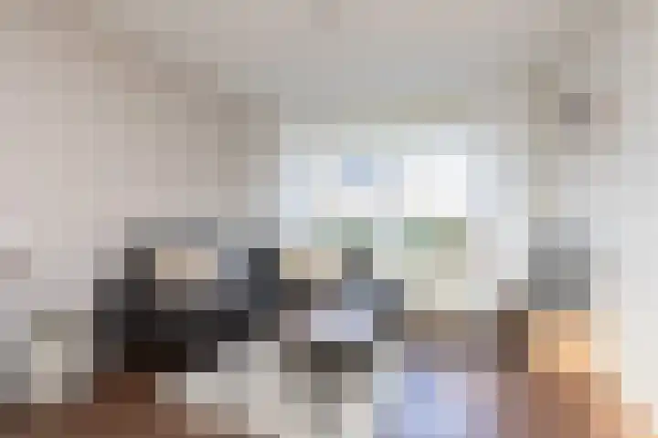 Sinsmar 24 Blauwhuis thumbnail 6
