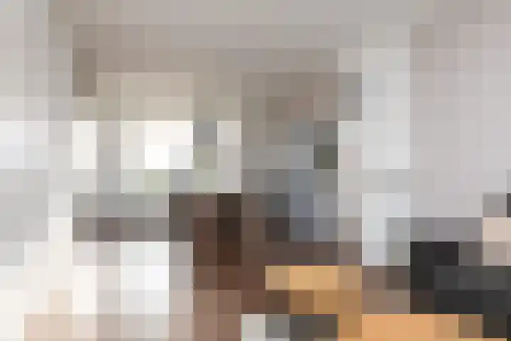 Sinsmar 24 Blauwhuis thumbnail 8