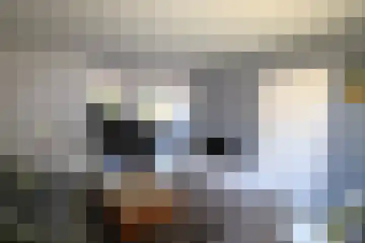 Sinsmar 5 Blauwhuis thumbnail 14