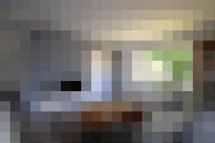 Sinsmar 5 Blauwhuis thumbnail 15