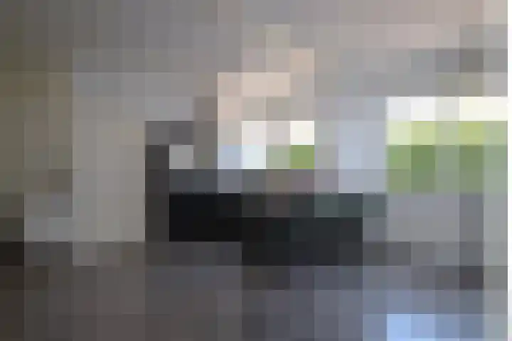 Sinsmar 5 Blauwhuis thumbnail 18