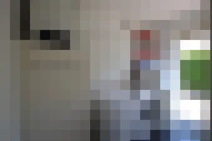 Sinsmar 5 Blauwhuis thumbnail 21