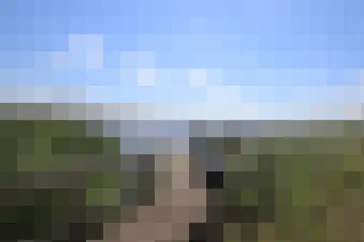 Sinsmar 5 Blauwhuis thumbnail 35