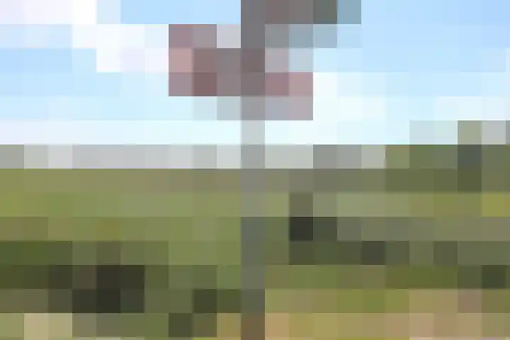 Sinsmar 5 Blauwhuis thumbnail 36