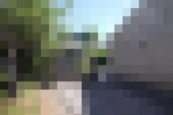 Sinsmar 5 Blauwhuis thumbnail 6