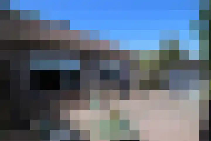 Sinsmar 5 Blauwhuis thumbnail 7