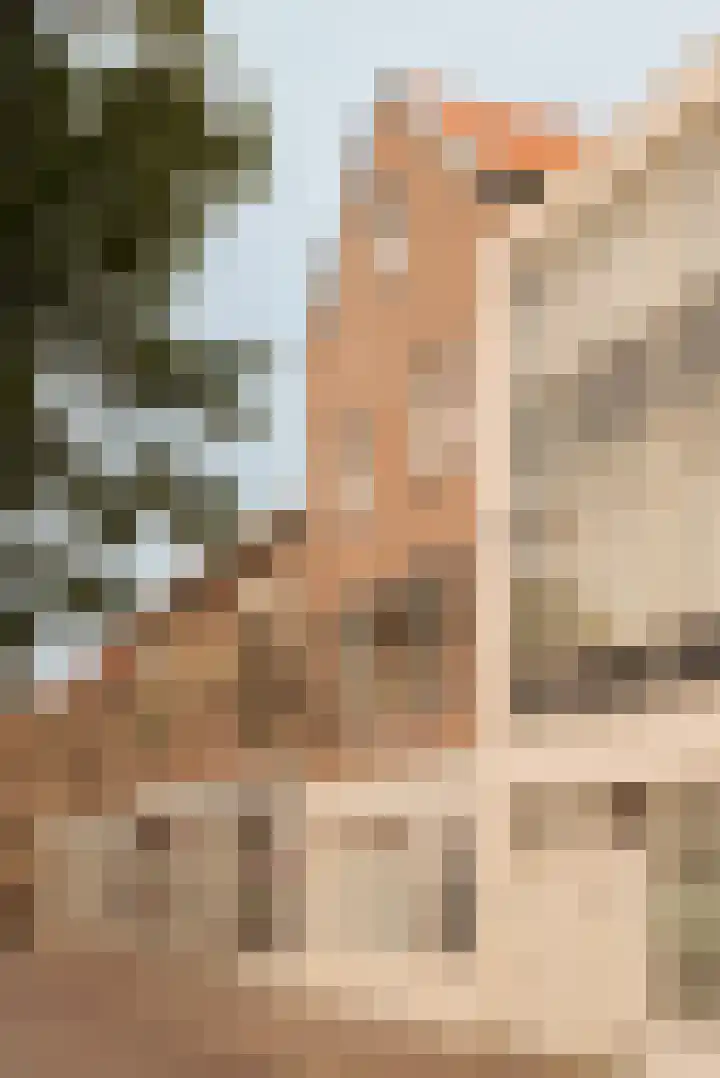 Sint Aagtenstraat 14 A Leiden thumbnail 4