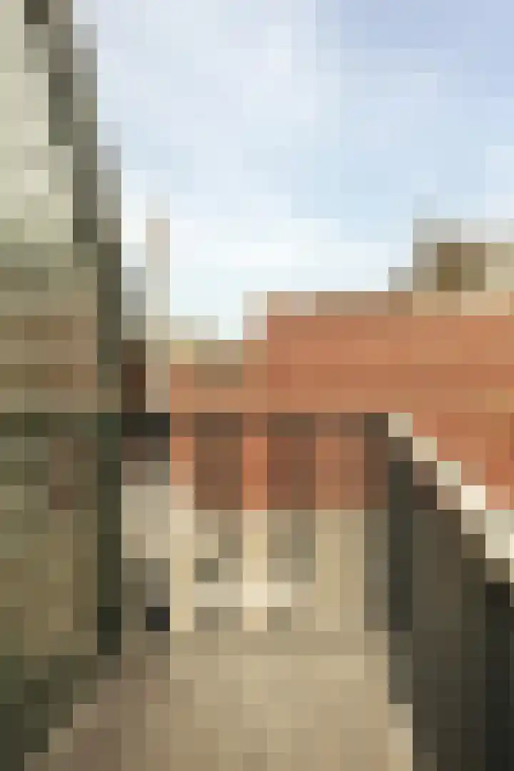 Sint Aagtenstraat 14 C Leiden thumbnail 18
