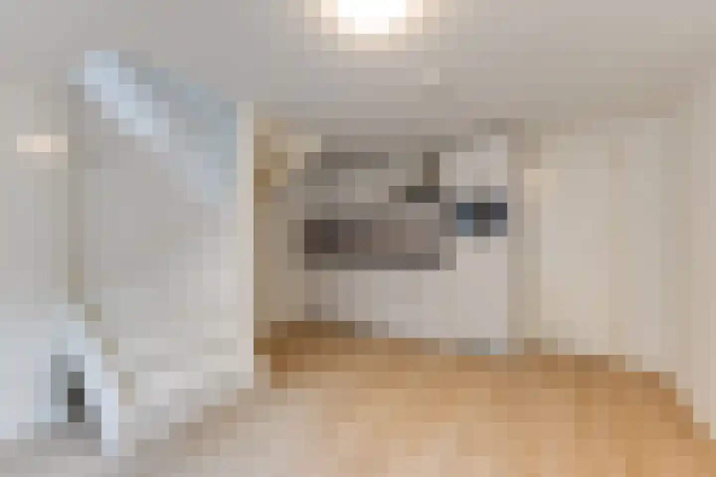 Sint Aagtenstraat 29 Leiden thumbnail 5