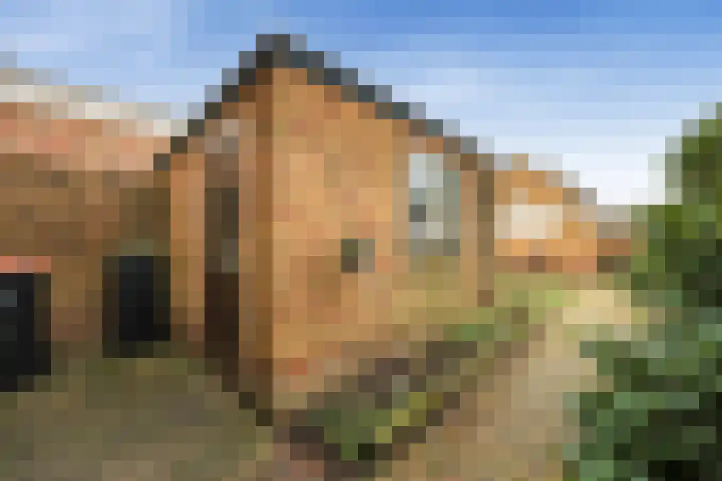Sint Adelbertusweg 24 Egmond-Binnen thumbnail 27