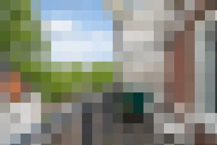 Sint-Agathastraat 3 A Rotterdam thumbnail 19