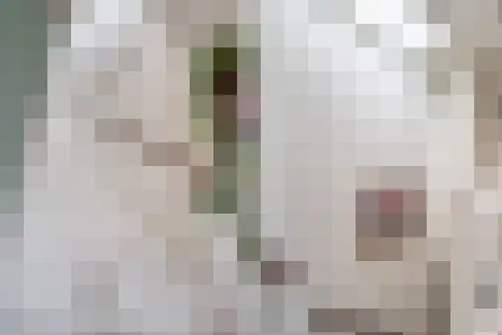 Sint-Agathastraat 3 A Rotterdam thumbnail 21