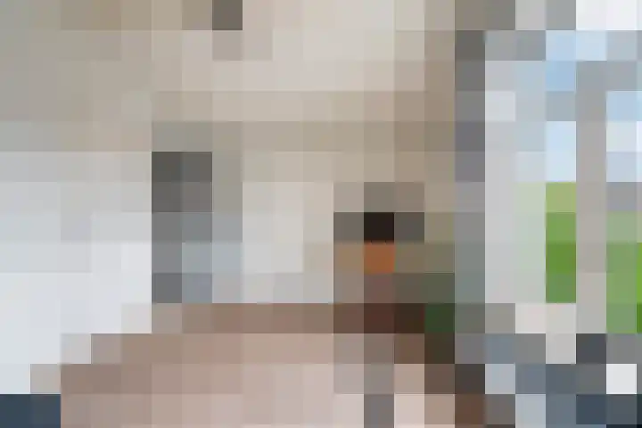 Sint-Agathastraat 3 A Rotterdam thumbnail 33