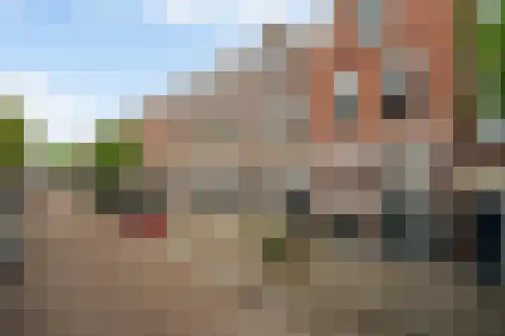 Sint-Agathastraat 3 A Rotterdam thumbnail 36