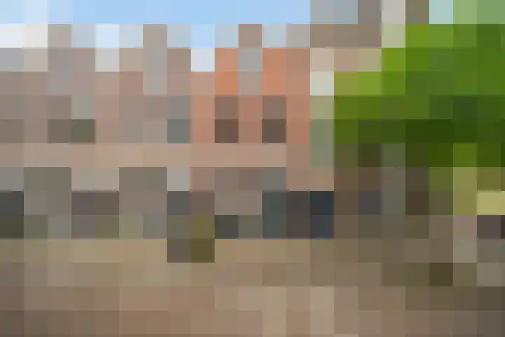 Sint-Agathastraat 3 A Rotterdam thumbnail 4