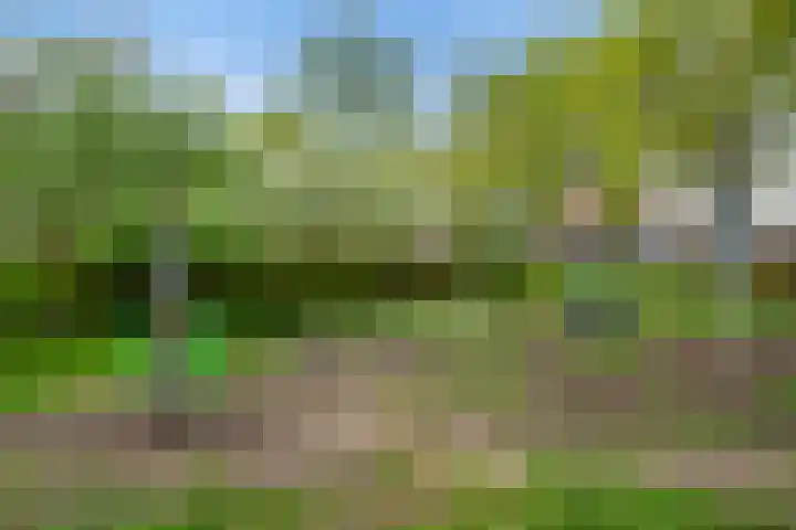 Sint-Agathastraat 3 A Rotterdam thumbnail 40