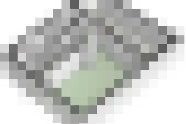 Sint Agathastraat 4 Eys thumbnail 31