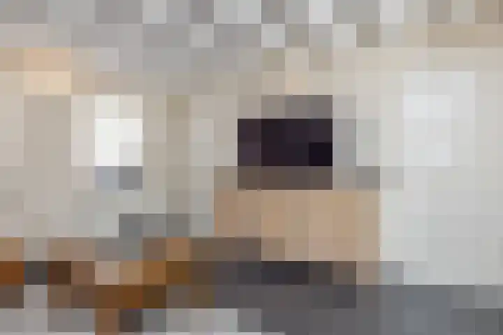Sint Agathastraat 4 Eys thumbnail 9