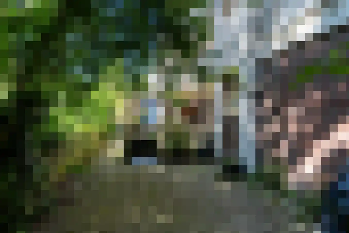 Sint-Agathastraat 45 A Rotterdam thumbnail 53
