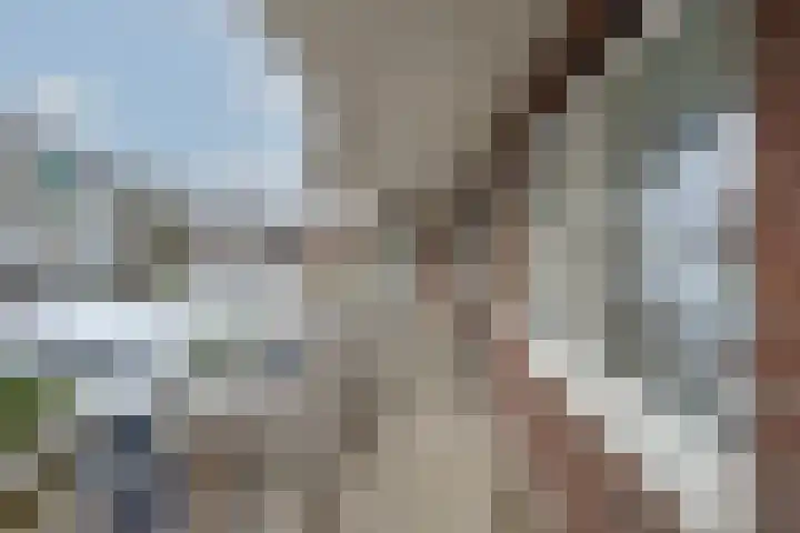 Sint-Agathastraat 45 E Rotterdam thumbnail 27