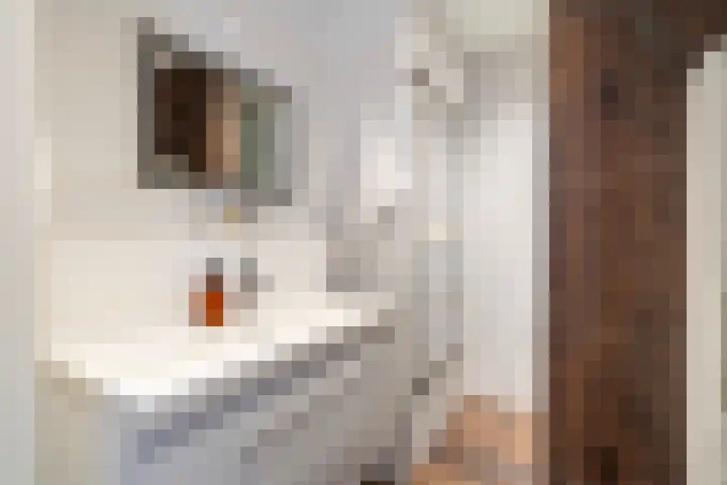 Sint-Agathastraat 45 E Rotterdam thumbnail 5