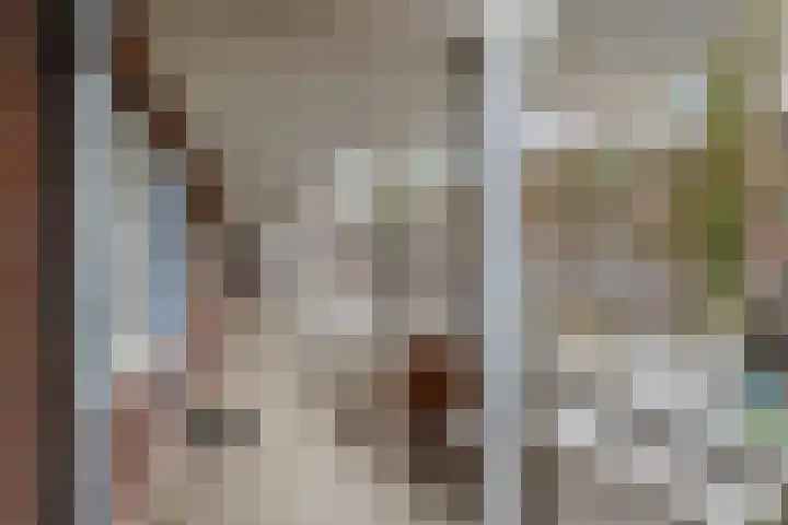 Sint-Agathastraat 45 E Rotterdam thumbnail 6
