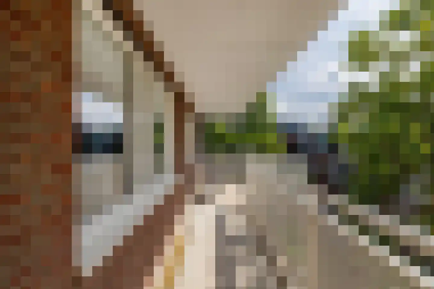 Sint-Agathastraat 49 E Rotterdam thumbnail 26