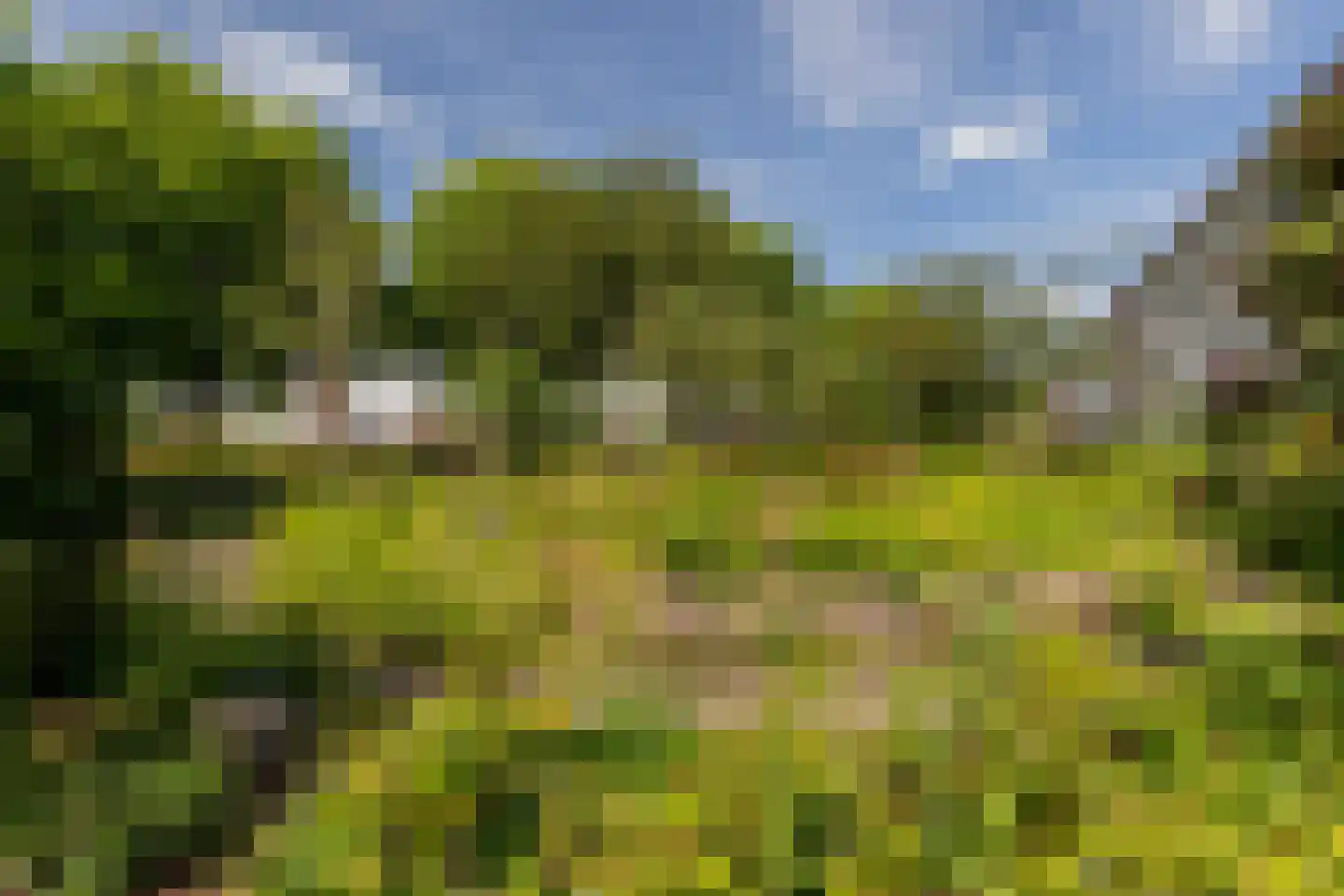 Sint-Agathastraat 49 E Rotterdam thumbnail 31
