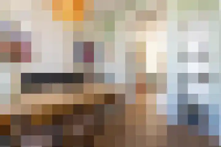 Sint-Agathastraat 58 A Rotterdam thumbnail 20