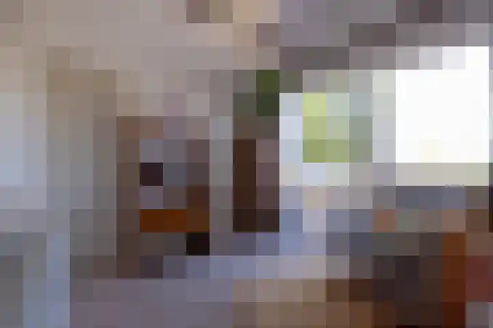 Sint-Agathastraat 58 A Rotterdam thumbnail 27