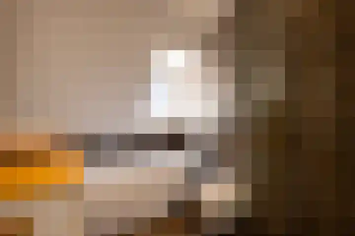 Sint-Agathastraat 58 A Rotterdam thumbnail 33