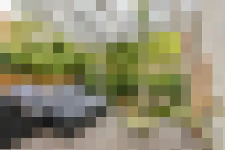 Sint-Agathastraat 8 B Rotterdam thumbnail 4