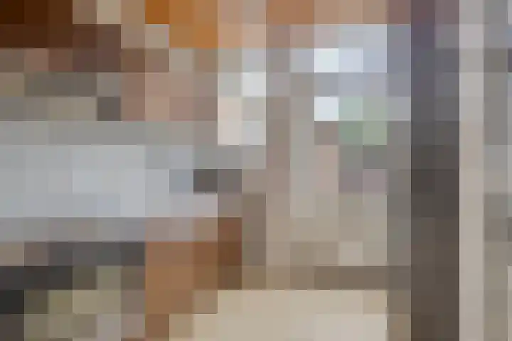 Sint Agnesstraat 12 Bunde thumbnail 11