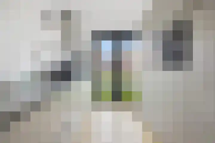 Sint Agnesstraat 14 Geertruidenberg thumbnail 11