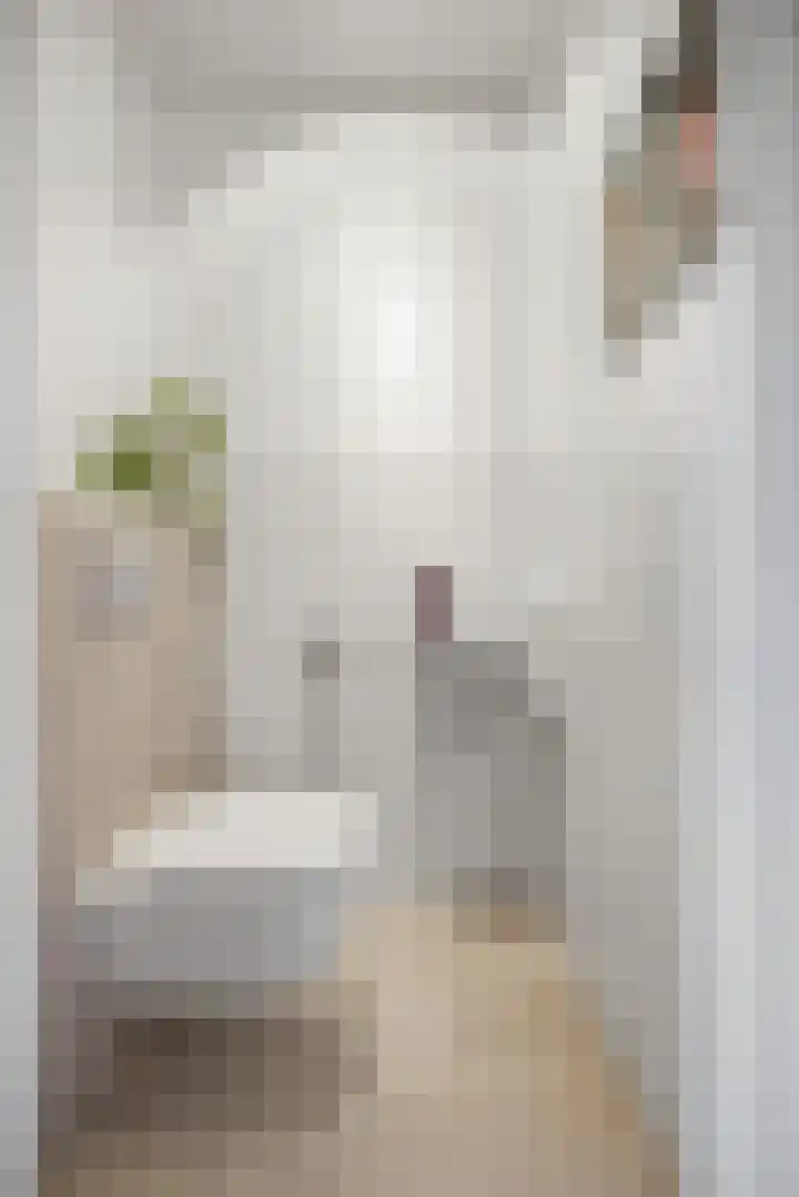 Sint Agnesstraat 14 Geertruidenberg thumbnail 8