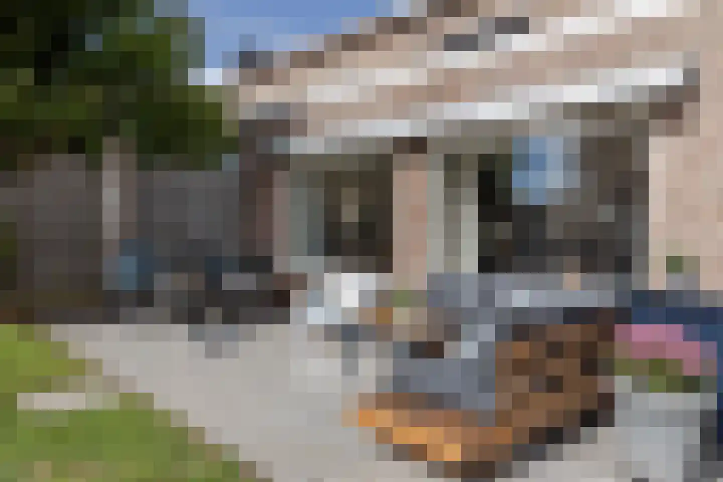 Sint Agnesstraat 3 Bunde thumbnail 24
