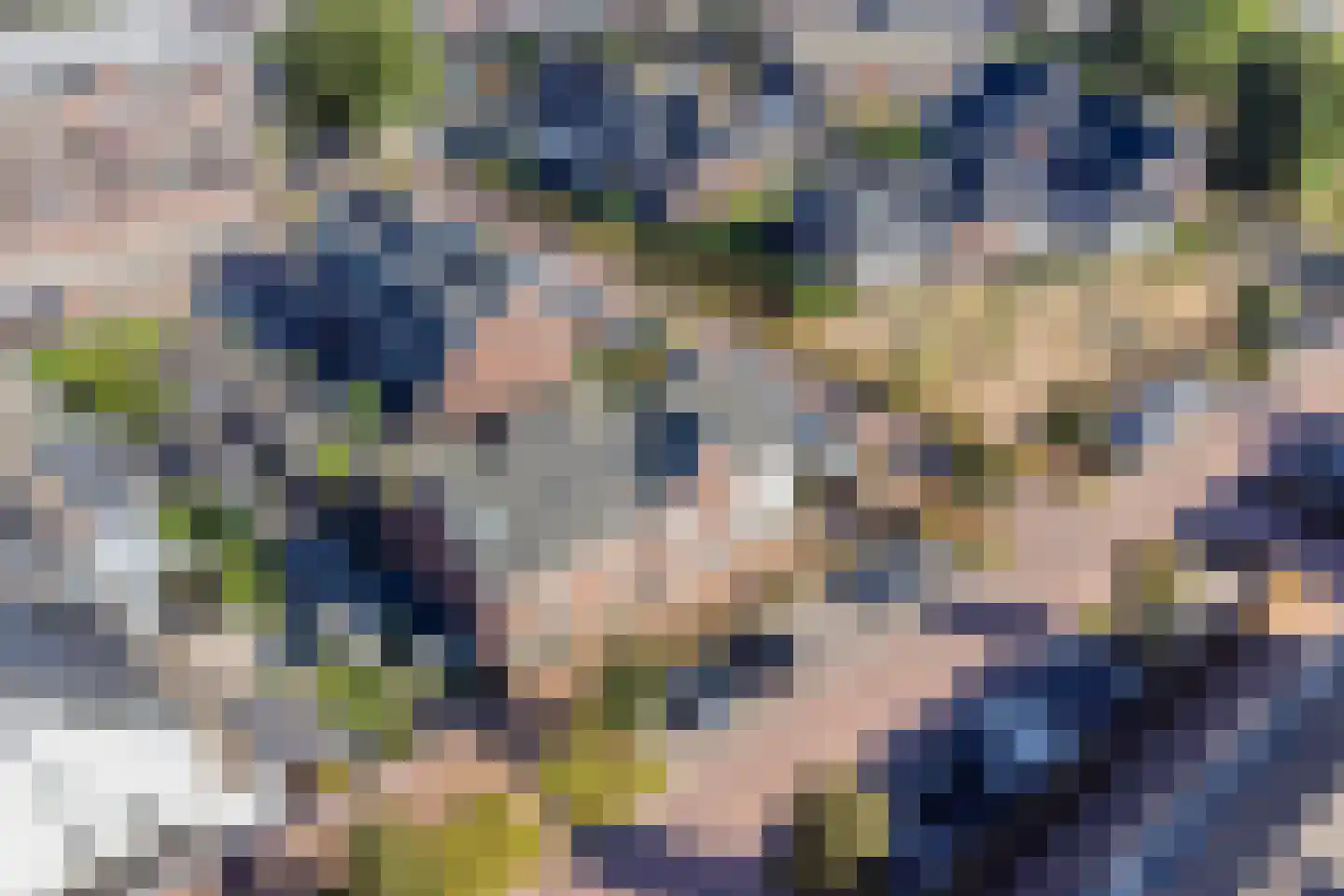 Sint Agnesstraat 8 Geertruidenberg thumbnail 13