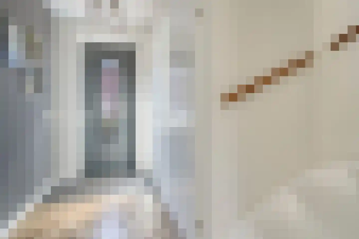 Sint Agnesstraat 8 Geertruidenberg thumbnail 17