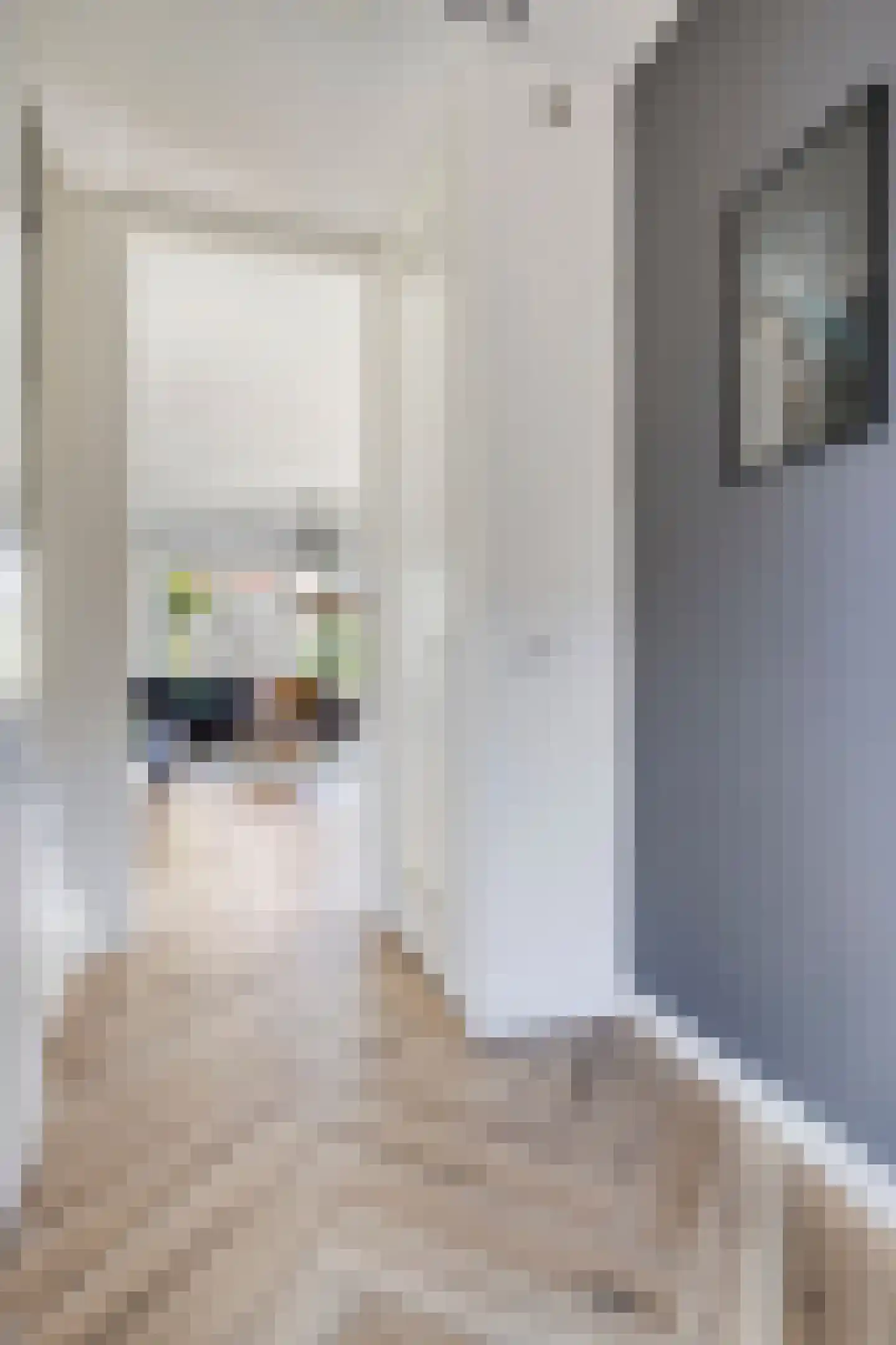 Sint Agnesstraat 8 Geertruidenberg thumbnail 18