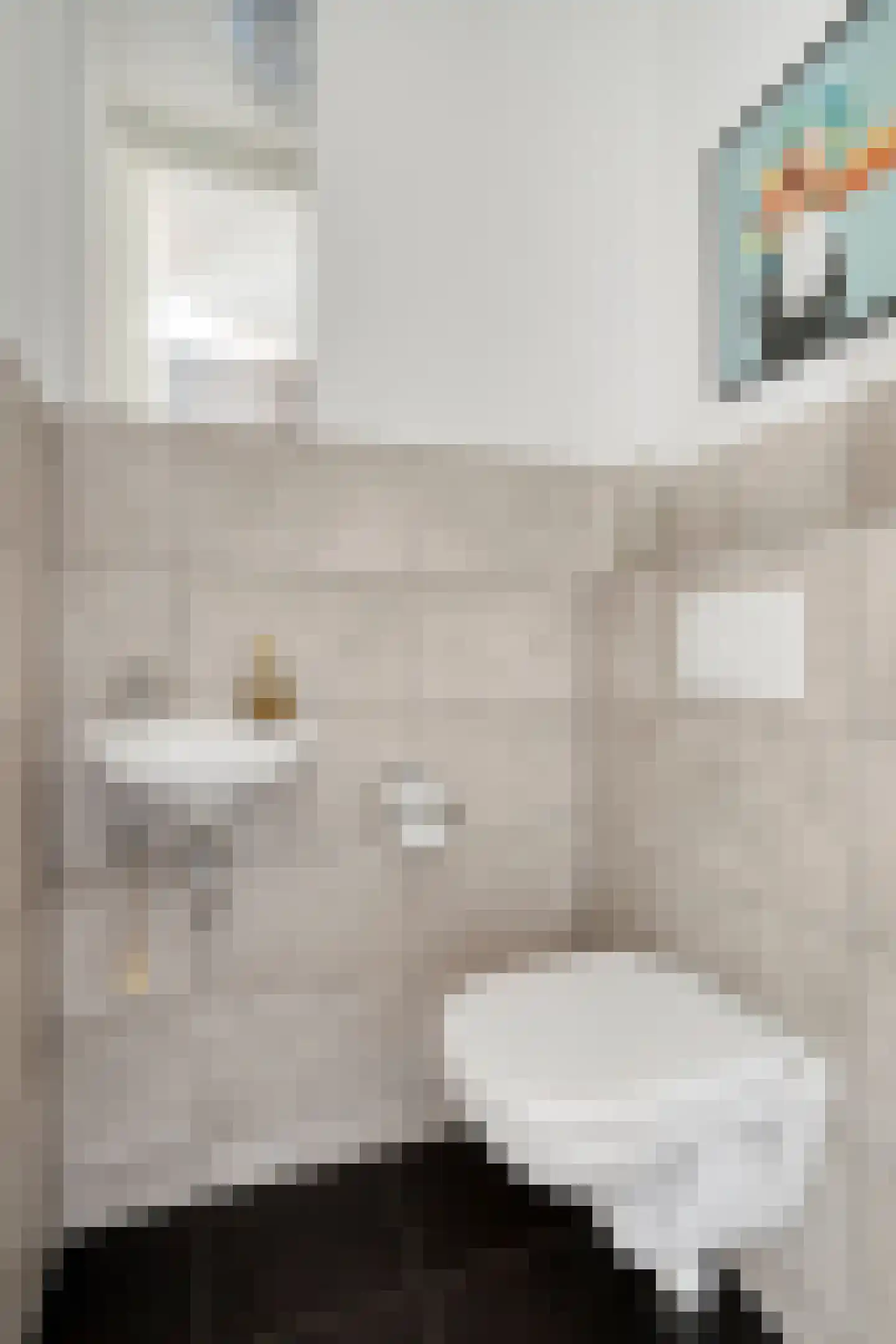 Sint Agnesstraat 8 Geertruidenberg thumbnail 19