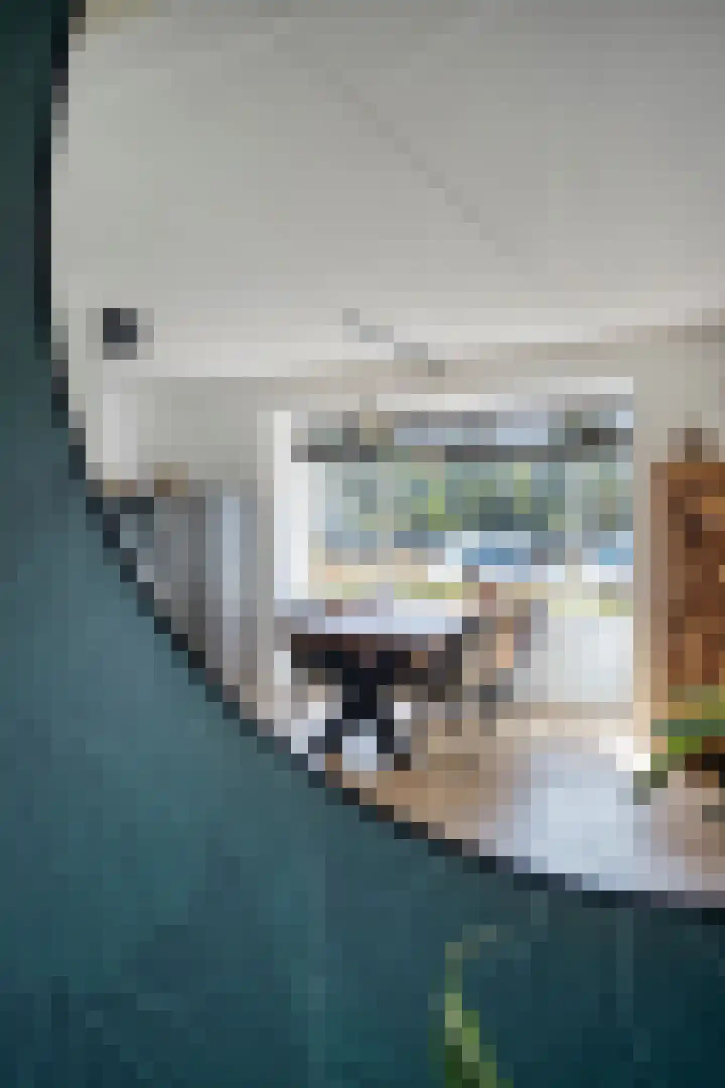 Sint Agnesstraat 8 Geertruidenberg thumbnail 27