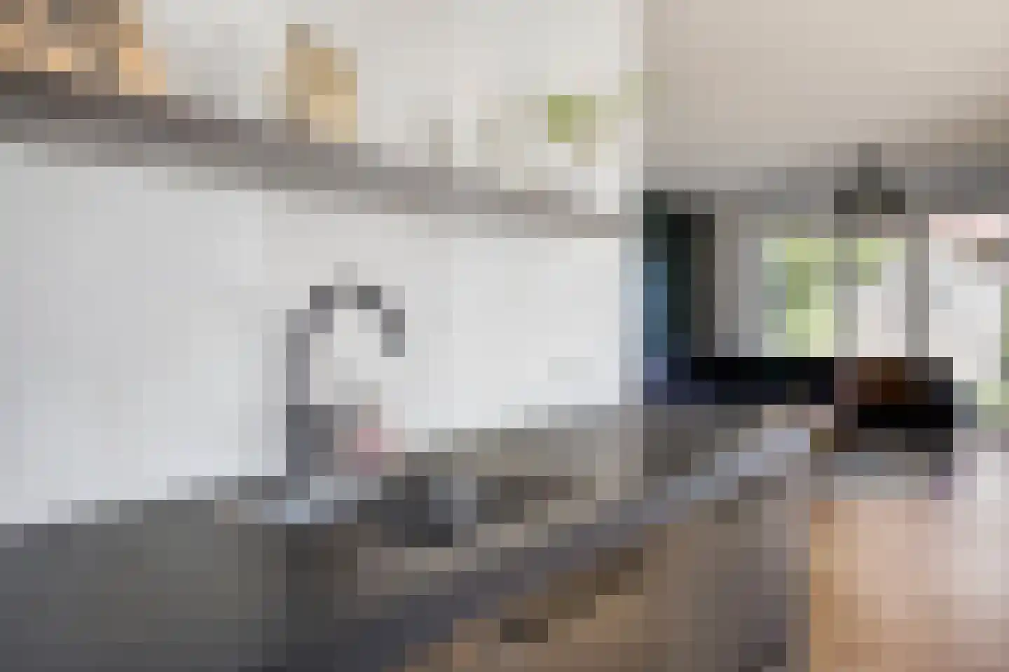 Sint Agnesstraat 8 Geertruidenberg thumbnail 30