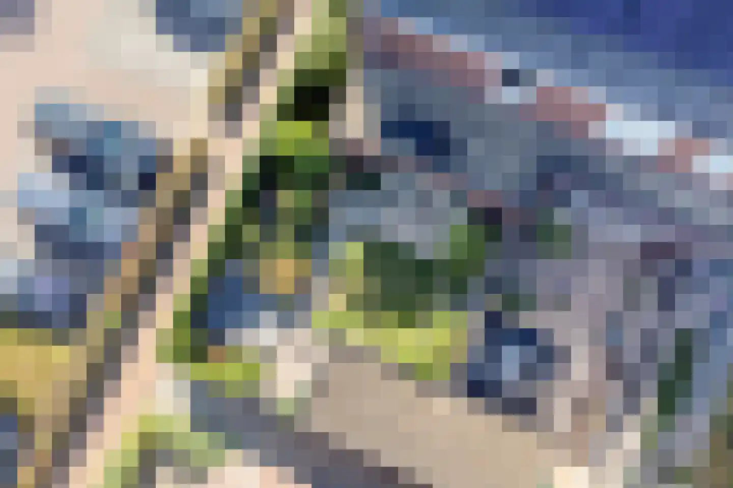 Sint Agnesstraat 8 Geertruidenberg thumbnail 41